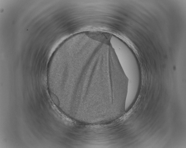 X0000068280896200605191850