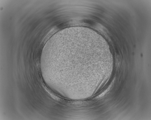 X0000068280897200605191850