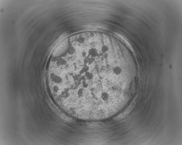 X0000068280899200605191850