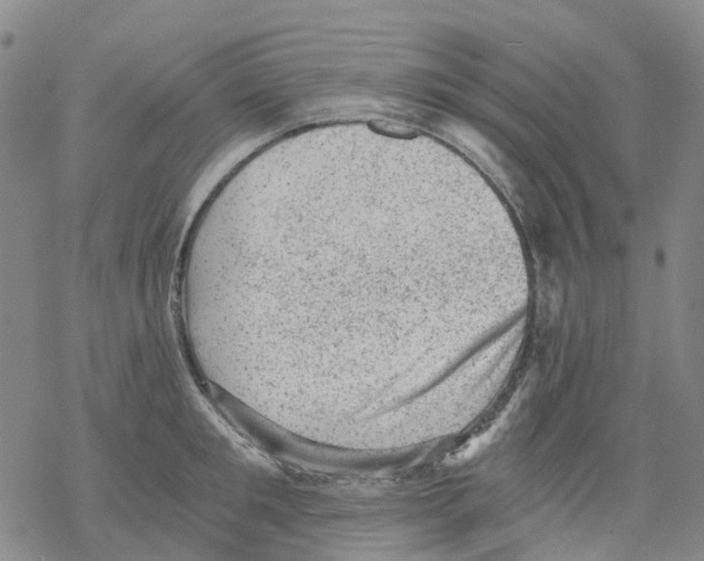 X0000068280901200605191850