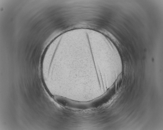 X0000068280902200605191850