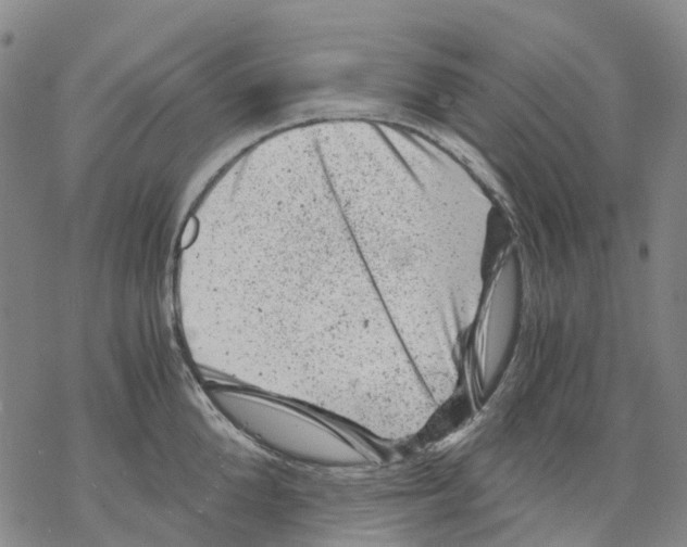 X0000068280904200605191850