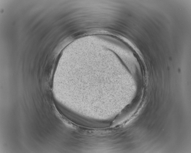 X0000068280905200605191850