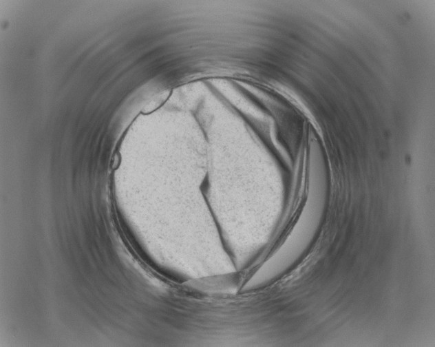 X0000068280906200605191850