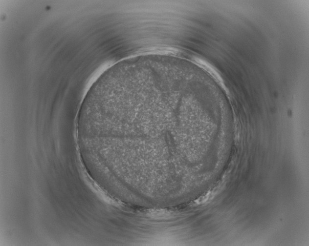 X0000068280907200605191850