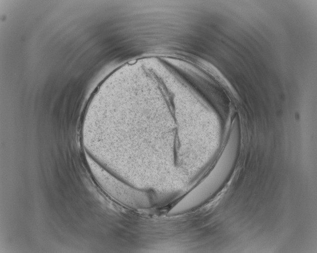 X0000068280908200605191850