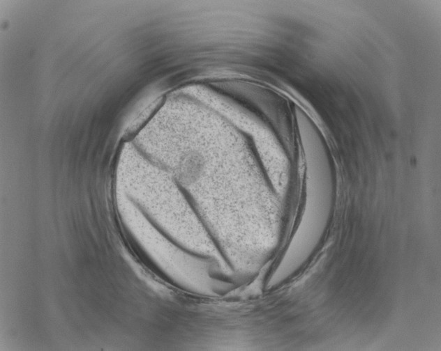 X0000068280909200605191850