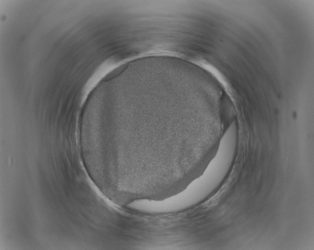 X0000068280910200605191850