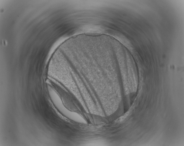 X0000068280912200605191850