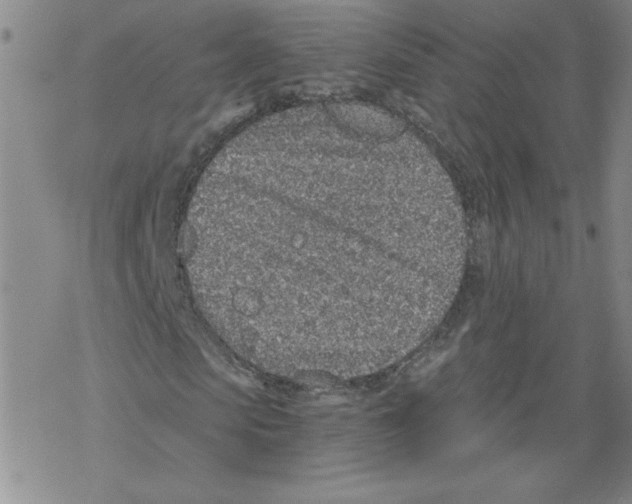 X0000068280913200605191849