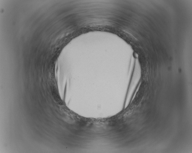 X0000068280917200605191849