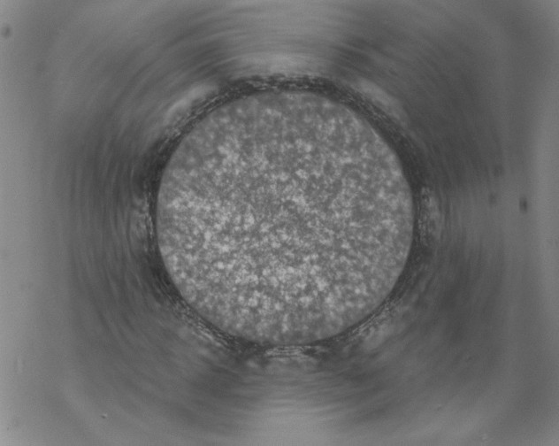 X0000068280918200605191849