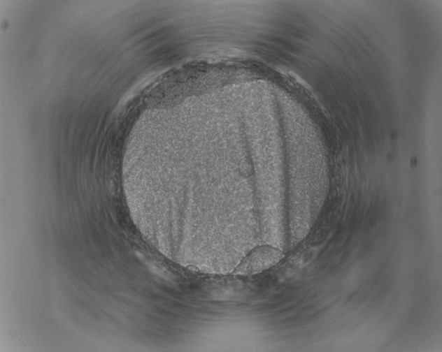 X0000068280919200605191849