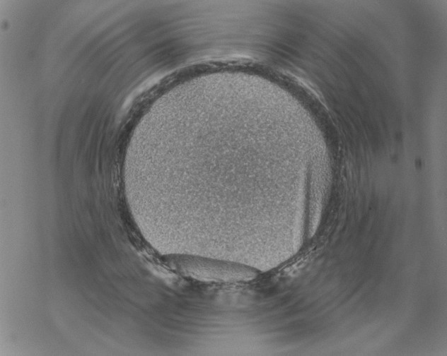 X0000068280920200605191849