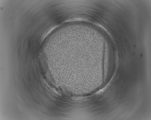 X0000068280921200605191849