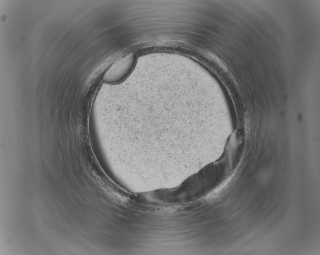 X0000068280922200605191849