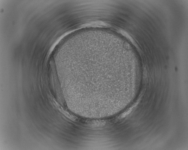 X0000068280923200605191849