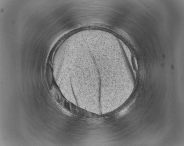 X0000068280924200605191849