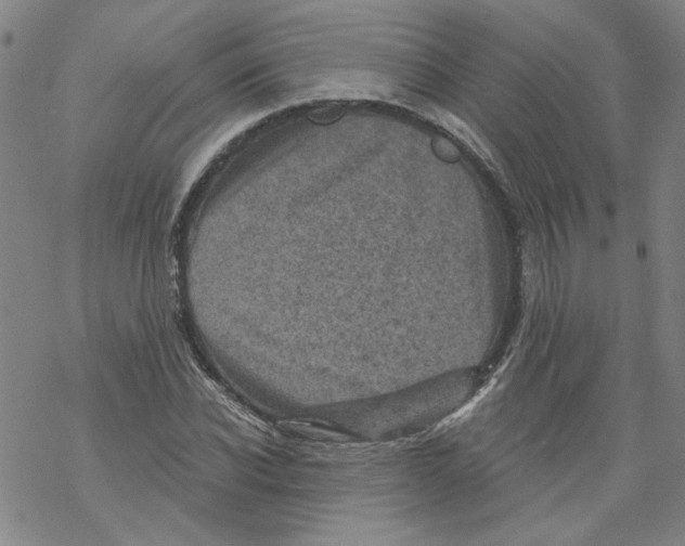 X0000068280926200605191849