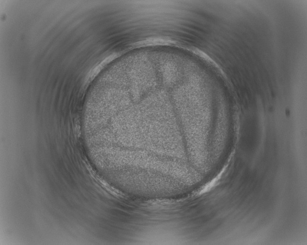 X0000068280929200605191850