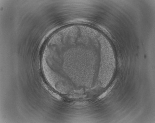 X0000068280931200605191850