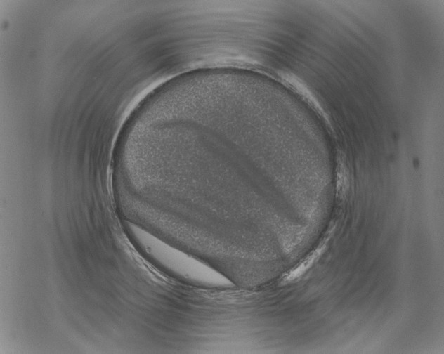 X0000068280932200605191850