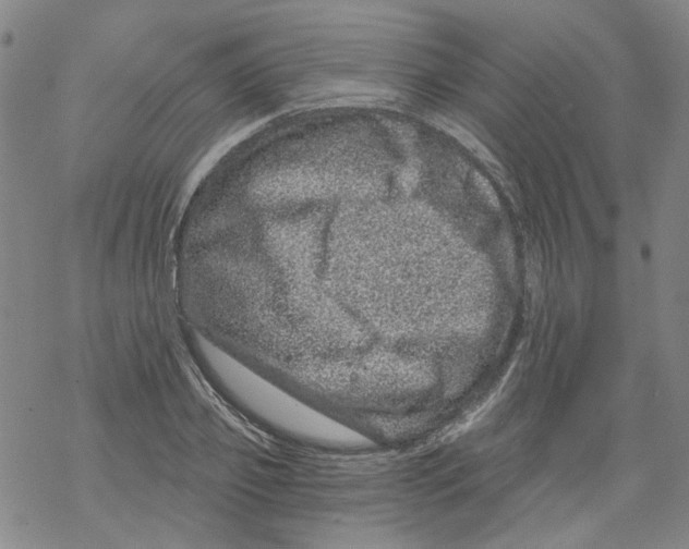 X0000068280933200605191850