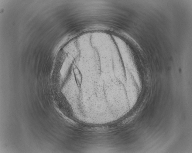 X0000068280937200605191850