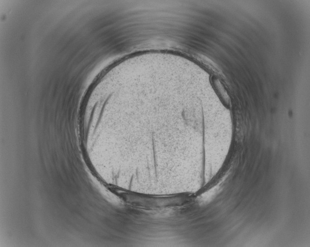 X0000068280942200605191850