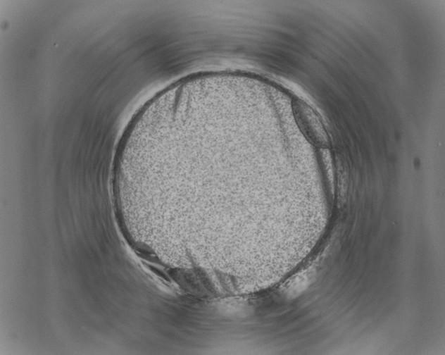 X0000068280943200605191850