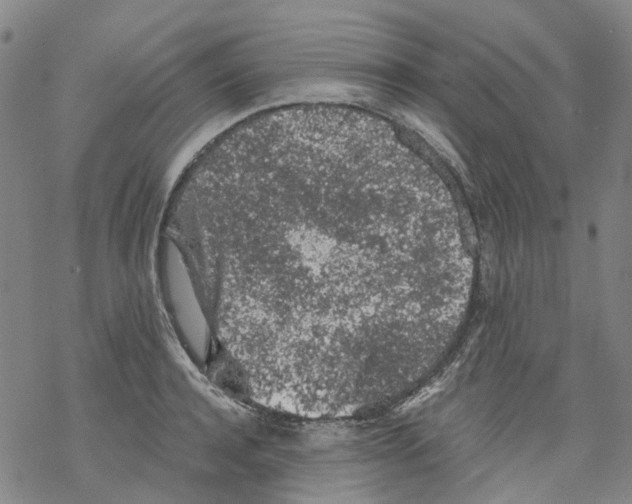 X0000068280944200605191850