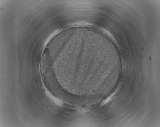 X0000068280946200605191850