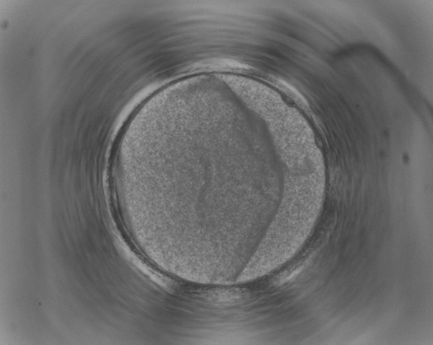 X0000068280947200605191850