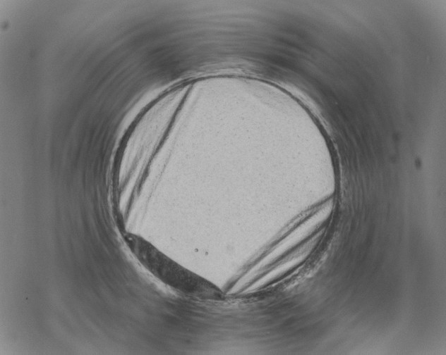 X0000068280949200605191850