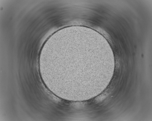 X0000068280950200605191850