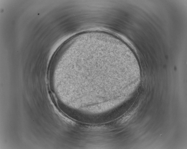 X0000068280951200605191850