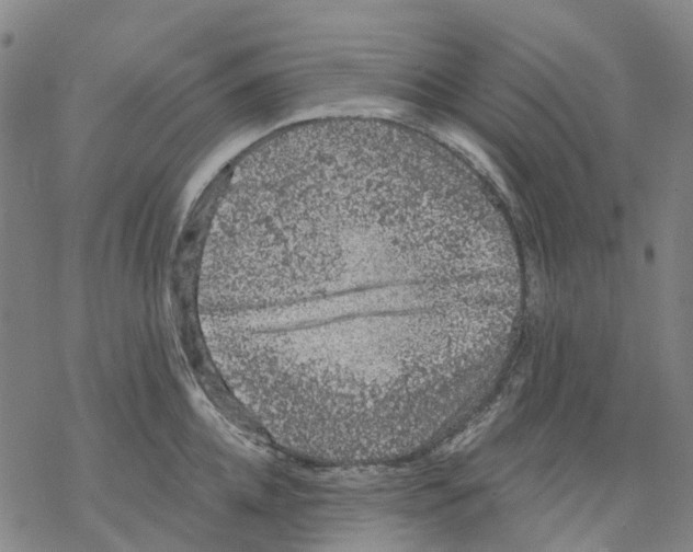 X0000068280952200605191850