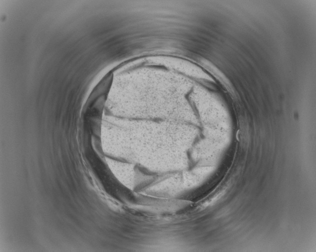 X0000068280956200605191850