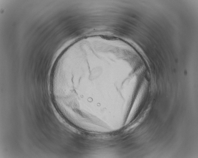 X0000068280957200605191850