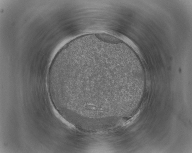 X0000068280958200605191850