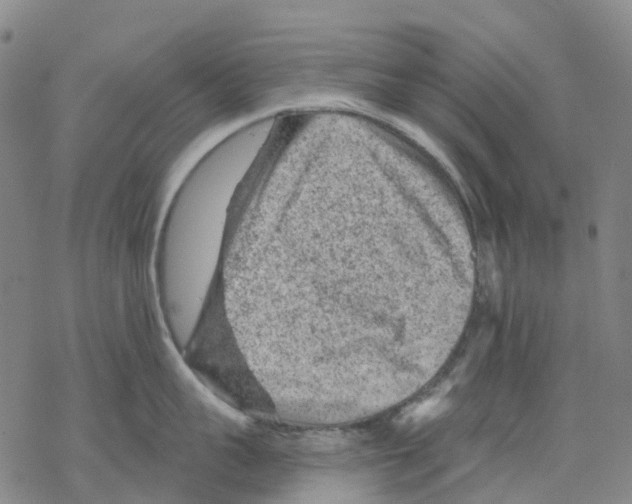 X0000068280959200605191850