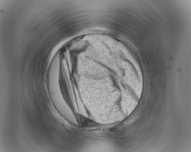 X0000068280960200605191850