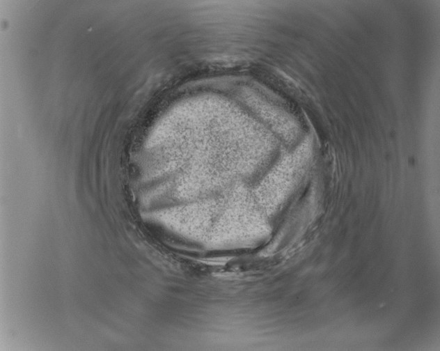 X0000068280961200605191849