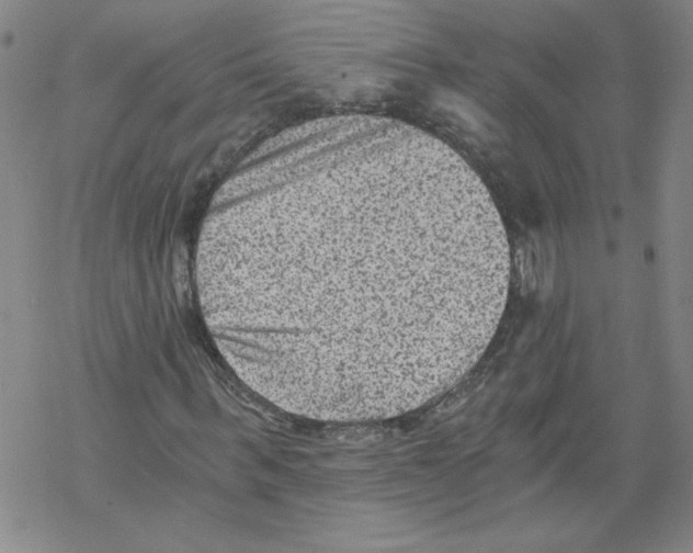 X0000068280963200605191849