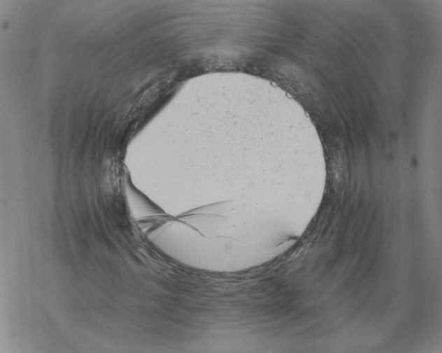 X0000068280964200605191849