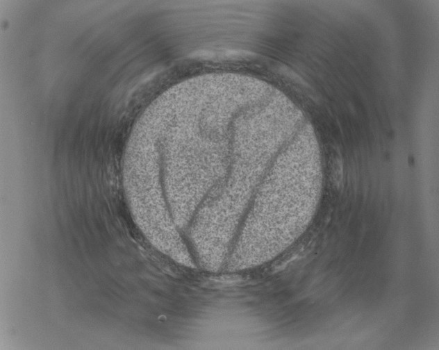 X0000068280966200605191849