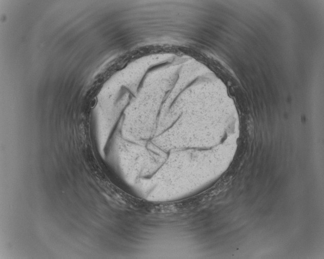 X0000068280968200605191849