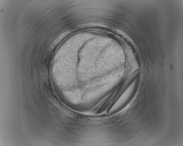 X0000068280969200605191849