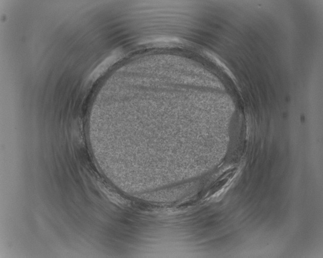 X0000068280970200605191849