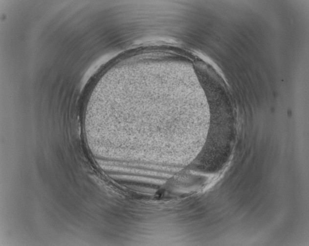 X0000068280973200605191849